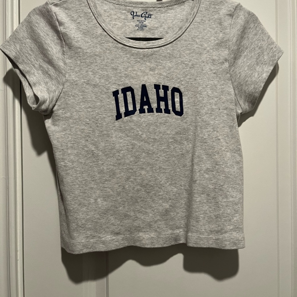 Brandy Melville Gray Idaho Tee